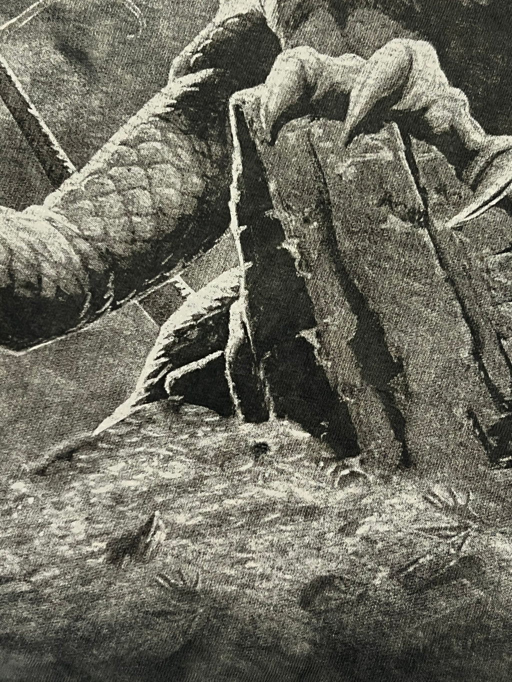 Vintage graphic Y2K dragon triko